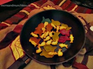 camping-indoors-4