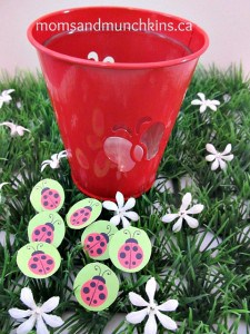 ladybug-birthday-activity