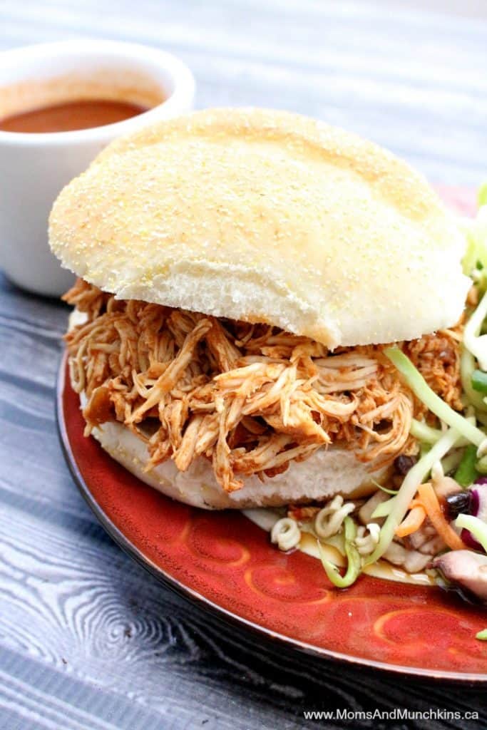 Best of Bridge Slow Cooker Cookbook Review Moms & Munchkins