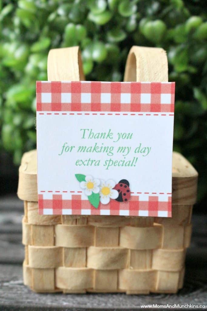 Picnic Party Ideas for All Ages Moms & Munchkins