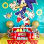 Sonic The Hedgehog Party