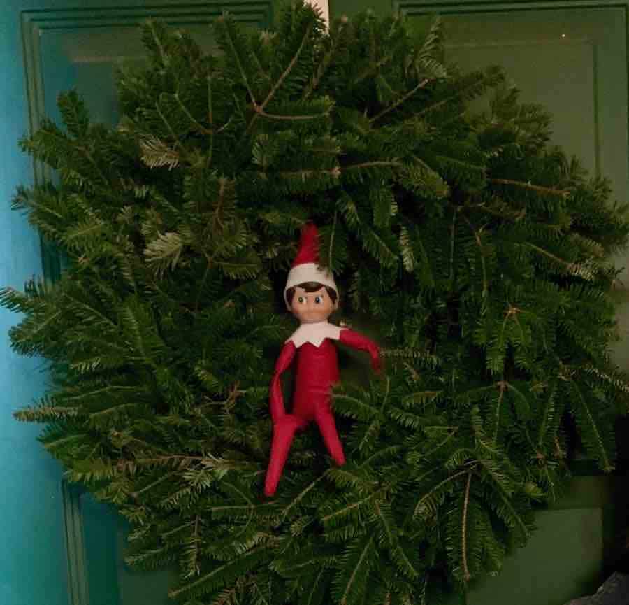 Elf On The Shelf